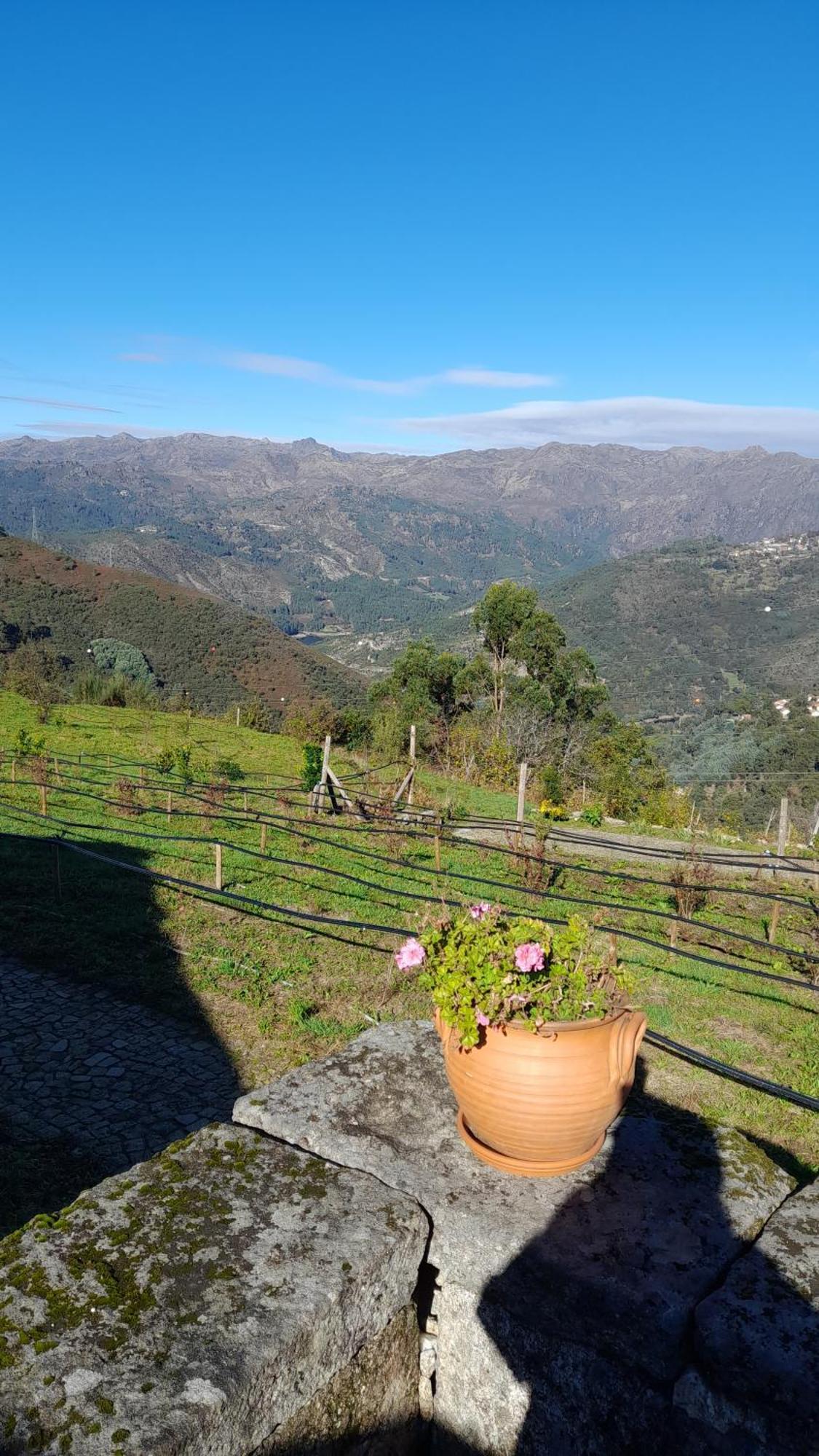 Maison d'hôtes Quinta Da Riba Ma à Santa Leocadia  Extérieur photo